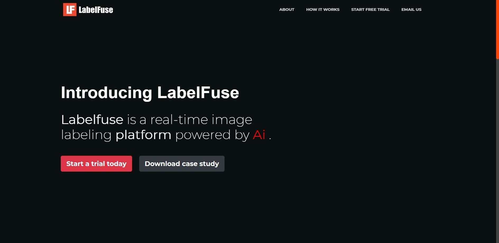 LabelFuse